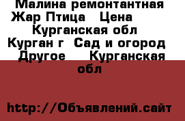 Малина ремонтантная Жар Птица › Цена ­ 50 - Курганская обл., Курган г. Сад и огород » Другое   . Курганская обл.